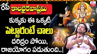 Sri Kalabhairava Ashtami in Telugu by Nandibhatla | Kalabhairava Ashtami Pooja Vidhanam | SumanTV