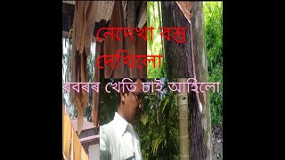 নেদেখা বস্তু এটা দেখিলো ।