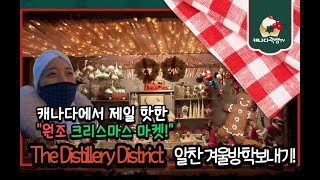 [곽쌤티비 128화] 캐나다에 제일 핫한 크리스마스 마켓 ! Distillery District! 크리스마스 찐하게 보내기~ 포토존, 맛집, 커피집, 추천!