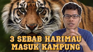 3 Sebab Harimau Masuk Kampung