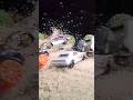 #Shorts - Crash Hot Wheels Car | Super Slow Motion | Crash Collection 1000fps | Part 5