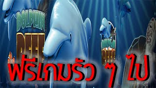 #AMBTHAI : Dolphin Reef Slot สล็อตปลาโลมา มาแล้ว ปลาโลมา เข้าฟรีเกม แบบรัว ๆ ไปสิ เกมค่าย Joker !!!!