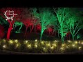 【公式】クリスマスイルミネーション点灯式2024！神戸布引ハーブ園／ロープウェイ｜kobe nunobiki herb gardens u0026 ropeway