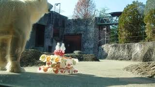 ポロロ（とくしま動物園）１４２１　お〜いし〜い