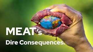 Why scientists believe meat has dire consequences for the planet