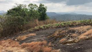 Adventurous off-road trip to palkulamedu, Idukki in Jeep(4)