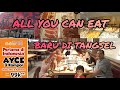 SHUKA GRILL CIREUNDEU TANGSEL || SHABU-BBQ & AGEMONO || JAPANESE ALL YOU CAN EAT