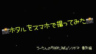 【番外編】ホタルをスマホで撮ってみた【FROM_ONE】