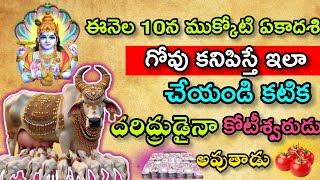 ఈనెల10 నముక్కోటి ఏకాదశి గోవుకనిపిస్తే ఎలా చేయండి కటిక దరిద్రుడైన కోటీశ్వరుడుఅవుతాడు| ముక్కోటి ఏకాదశి