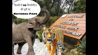 Sultanpur National Park Gurugram: The Hidden Gem You NEED to Experience!