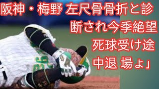 阪神・梅野 左尺骨骨折と診断され今季絶望 死球受け途中退場ょ」(Tokyo rends )