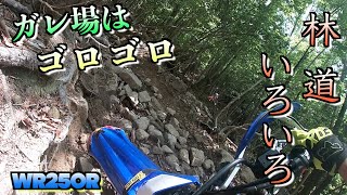 色々あるよね林道ツーリング！トラブルあっても人数がいれば心強い！