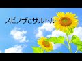 第3142回　スピノザとサルトル　2021.08.21