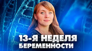 13 недель беременности. Полезная информация от акушер-гинеколога.