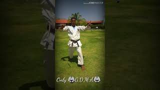 Nan stick  karate shotokan style