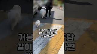 포도와 거봉이 함께 산책 나가면 받는 오해