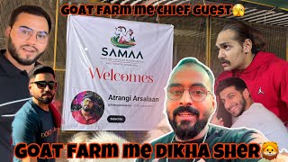 Goat Farm Mein Dikha Sher 🦁 | Pehli Baar Farm Me Gaya 😍 | AtrangiArsalaan❤️