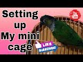 How do I set up my mini cage |PETdorable