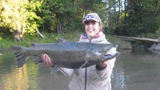 Saumon chinook rivière en Ontario