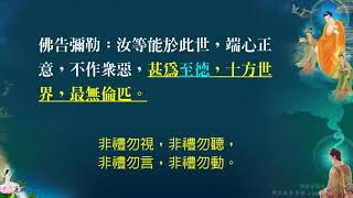 佛說無量壽經81   益西彭措堪布