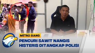 Polisi Berhasil Tangkap Pencuri Sawit - [Metro Siang]