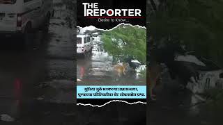 पुण्यात शाळेच्या वॅन आणि दुचाकीस्वाराच्या अंगावर कोसळले मोठे झाड. #pune #treefalling