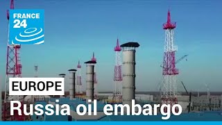 Russia oil embargo: 'We should really focus on a longer-term strategy to diversify' • FRANCE 24