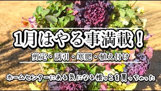 【にこぽんの庭#56】剪定・誘引・寒肥/初心者でも簡単なリース作り/気になる野菜の植え付け/チワワの日常