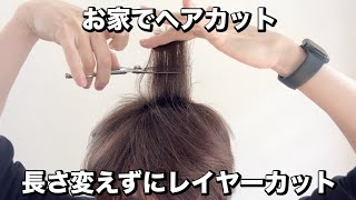 【お家でヘアカット】ショートヘアに長さ変えずにレイヤーカット！ヘアスタイルに段を入れるやり方