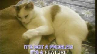 Don't Declaw the Cat