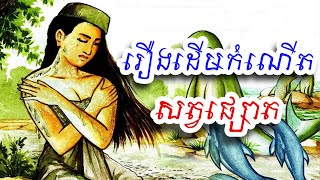 រឿងដើមកំណើតសត្វផ្សោត