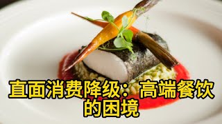 高端餐饮困境：消费降级，商务宴请减少，高端餐饮市场遇冷，“米其林”光环不再？高端餐饮市场大洗牌，频现闭店跑路｜出海还是预制菜寻生路？