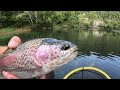 caney fork trout fishing keeps geeting better