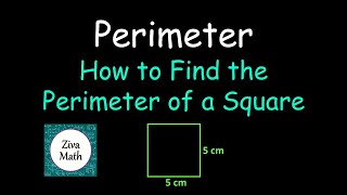 Perimeter | How to Find the Perimeter of a Square