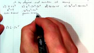 alg2 6 1 classify polynomials