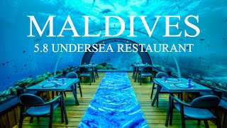 Dining Under The Sea: Hurawalhi Maldives' Unique Underwater Restaurant Experience | blessed4life