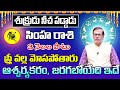 శుక్రుడు నీచ పడ్డాడు సింహ రాశి 2024 | Simha Rasi Phalithalu August 2024 | Leo Horoscope August 2024