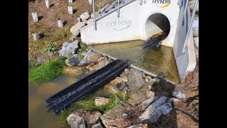 Fish passage remediation NZ