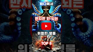 대부분 모르는 위험한 바다 생물 TOP 8 Short Video