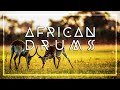 AFRICAN DRUM MUSIC • Tribal Beats • Shaman Dance • Unleash your Primal Self