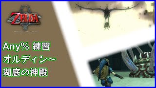 【RTA】Any% 区間練習 オルディン～湖底の神殿【ゼルダの伝説 トワイライトプリンセスHD】