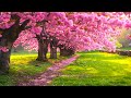 Gentle healing music for health and calming the nervous system, deep relaxation #32