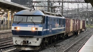 【６両目コキ73-1有り！ジョイント音最高！】JR貨物EF210形100番台123号機（新塗装）＋コキ19両が大宮駅10番線を通過するシーン（4073レ・新A257・コンテナ輸送）2024.7.12