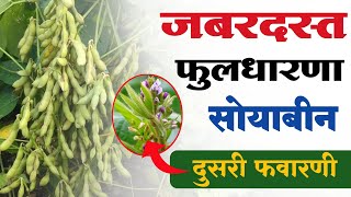 सोयाबीन फुलांची संख्या वाढवण्यासाठी दुसरी फवारणी | soybean dusri favarni | सोयाबीन दुसरी फवारणी