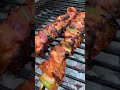 Chicken Kebab on the BBQ Grill (braai)