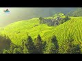 bird s eye view of guizhou amazing rice terraces