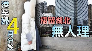 東方日報A1：港孕婦困湖北　唔知等生定等死