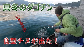 【かかり釣り】真冬のダゴチン釣りでまさかの良型チヌ【昭丸】