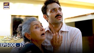 Neeli Zinda Hai Episode 37 [Subtitle Eng] - 9th December 2021 - ARY Digital Drama