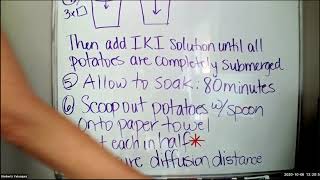 Cell Structure and Function Lab: Activity 1: Cell Surface Area to Volume Ratio and Diffusion Rates